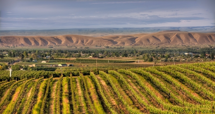 Yakima Valley